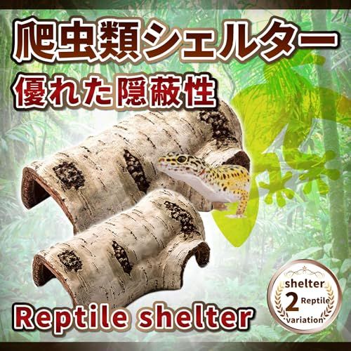 https://assets.mercari-shops-static.com/-/large/plain/2JUMLHBDepGznTwsgTrpmS.jpg@jpg