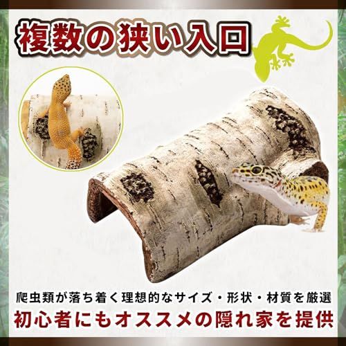 https://assets.mercari-shops-static.com/-/large/plain/2JUMLHBDyekZCguuYyrgTn.jpg@jpg
