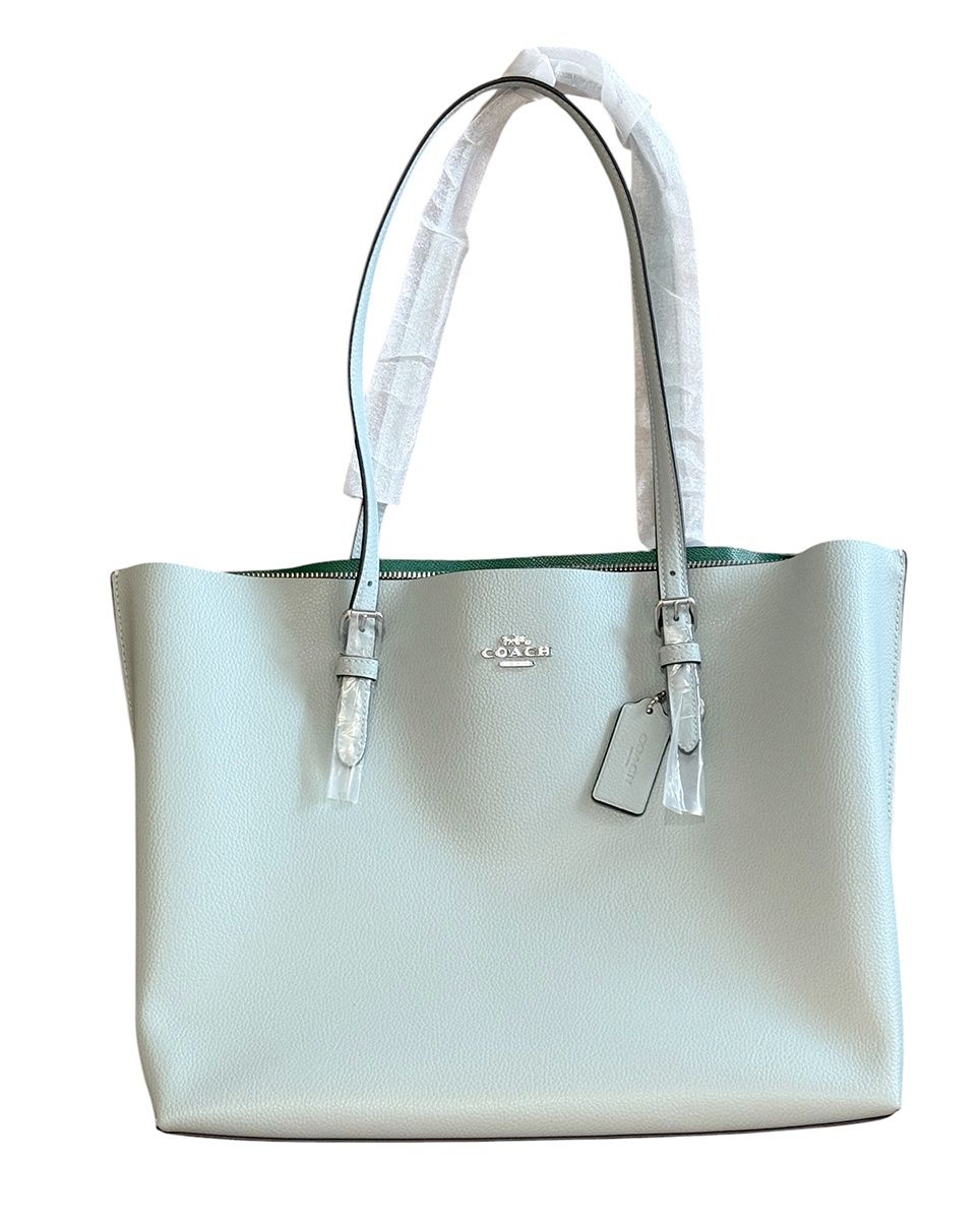 新品、未使用 ❤️COACH❤️コーチ モリー トートバッグ 1671ミントブルー コーチ COACH モリー トートバッグ 1671 ミントブルー 未使用品 - メルカリ