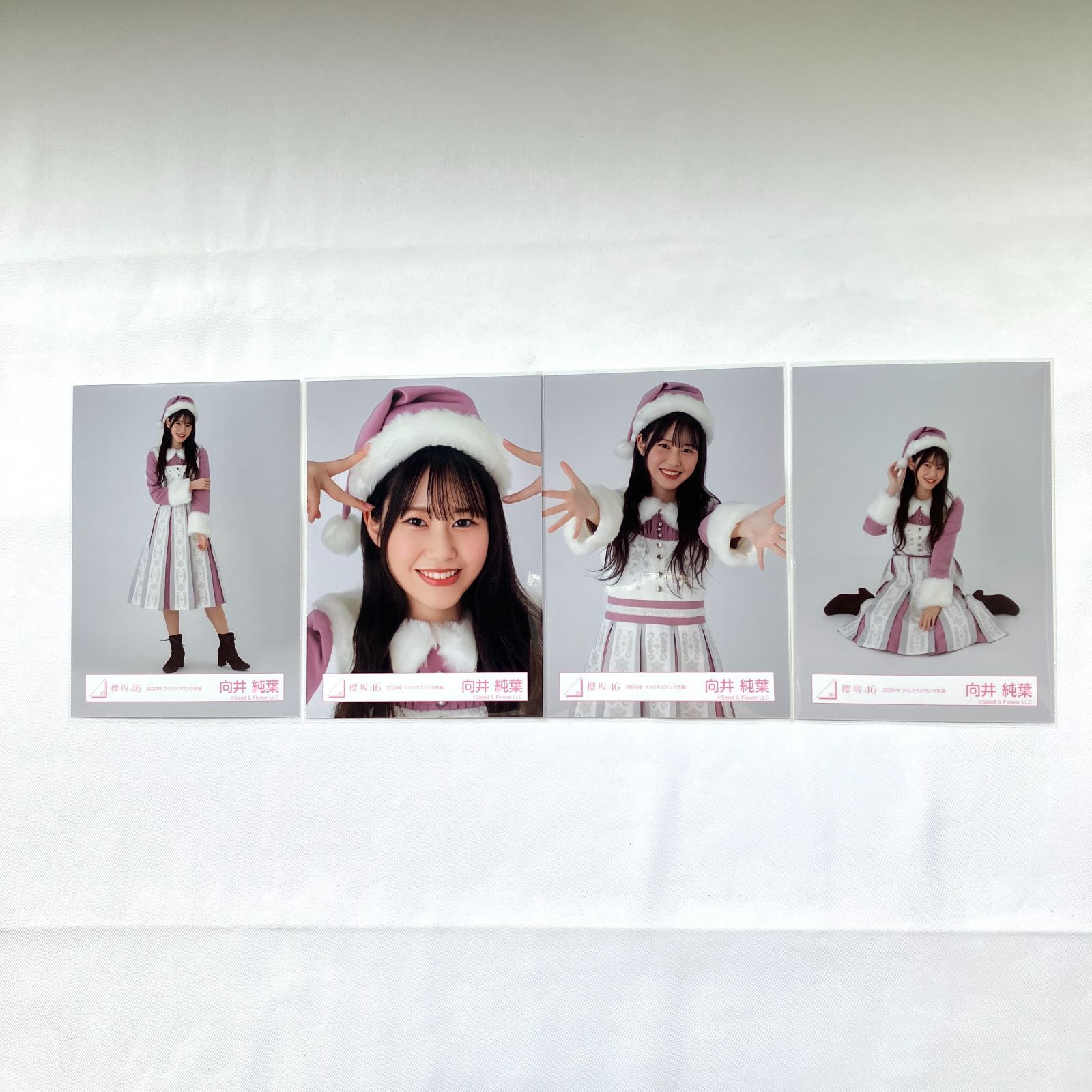 櫻坂46 向井純葉 生写真 コンプ 5セット NL7100P f115 - メルカリ