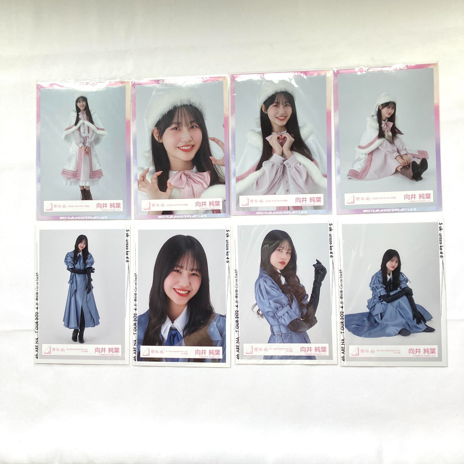 櫻坂46 向井純葉 生写真 コンプ 5セット NL7100P f115 - メルカリ