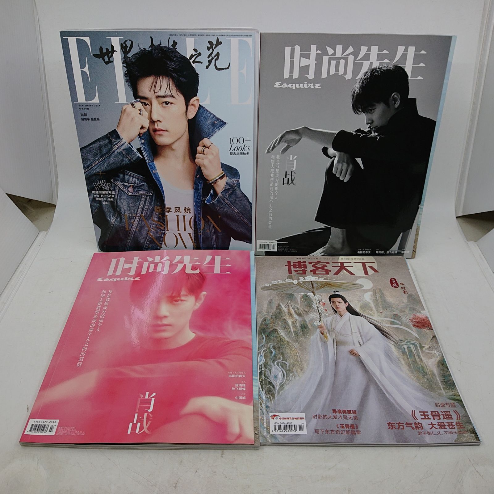 まとめ売り】肖戦 関連 写真集 雑誌 11点セット 王一博 ポストカード