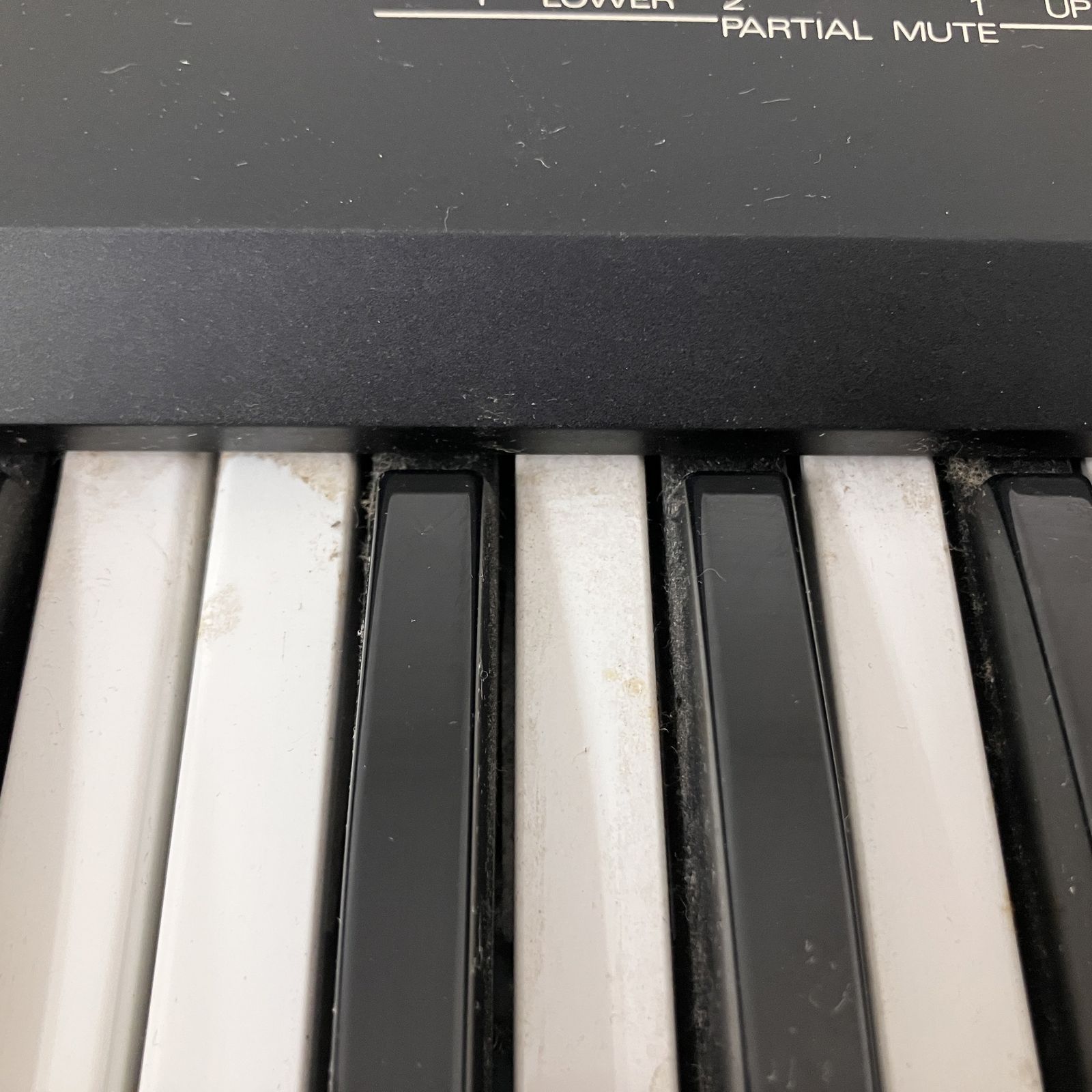 Roland ローランド シンセサイザー D-50 100V 61鍵盤 音響 ジャンク