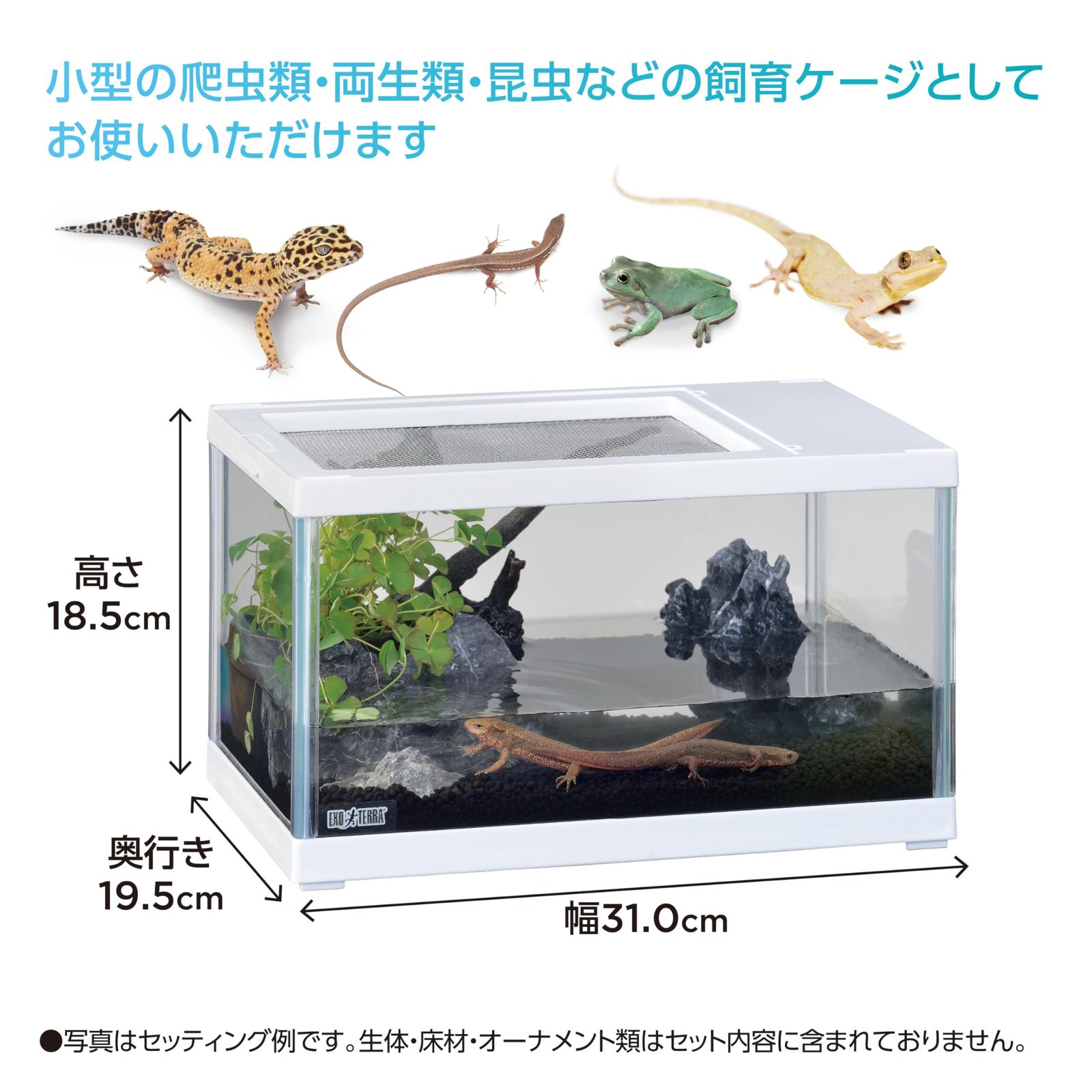 ガラス製飼育ケージ2個セット 透明ガラス飼育ケージ 2個セット（バラ売り可） ジェックス EXOTERRA