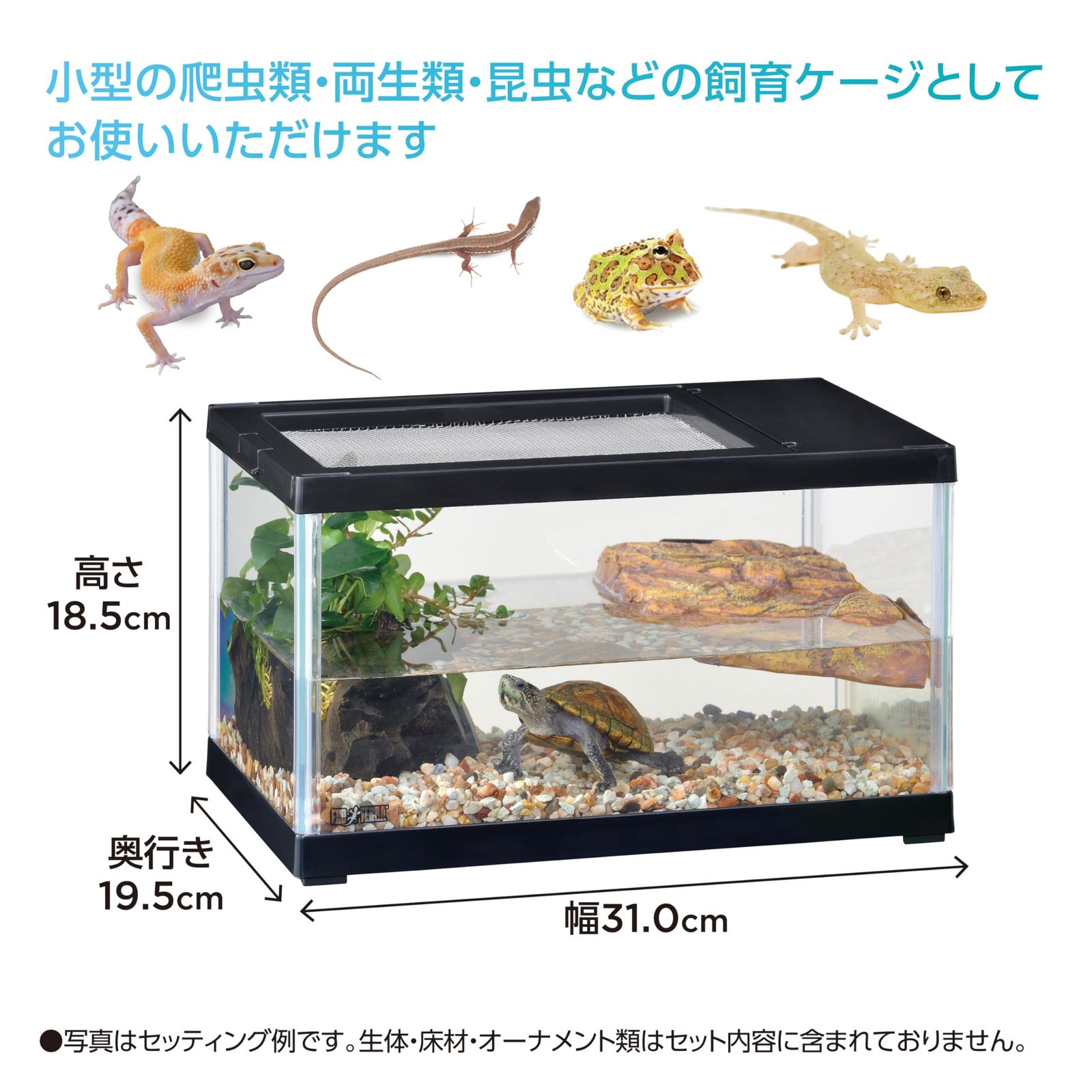 爬虫類ゲージセット売り　【バラ売り不可】【引取可】 ジェックス EXOTERRA レプテリア ツインビュー 300ブラック 小型爬虫類