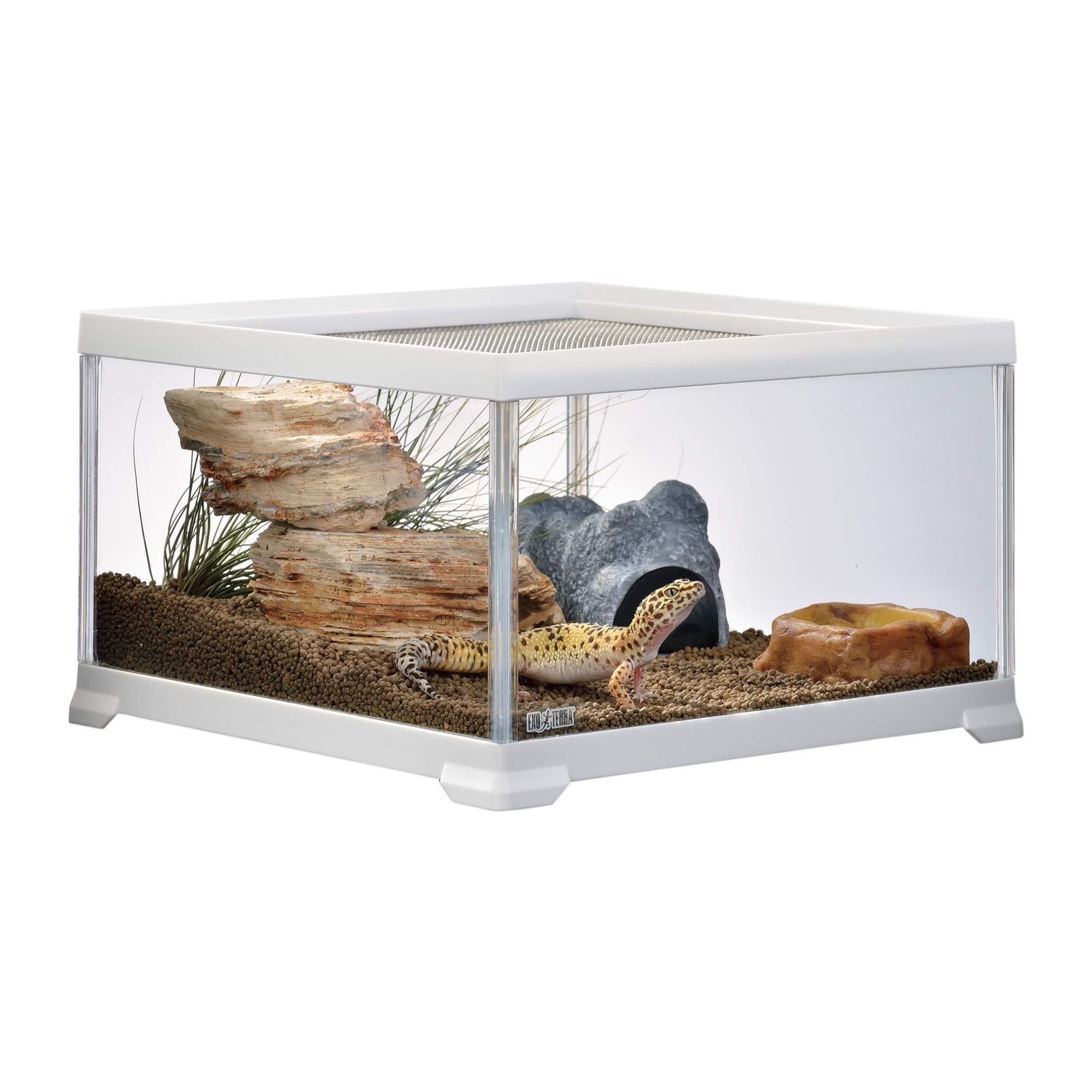 Exo Terra 爬虫類用ガラス飼育ケージ　60センチ GEX EXOTERRA レプテリア レオパ飼育キットM 爬虫類用ガラスケージ 6点