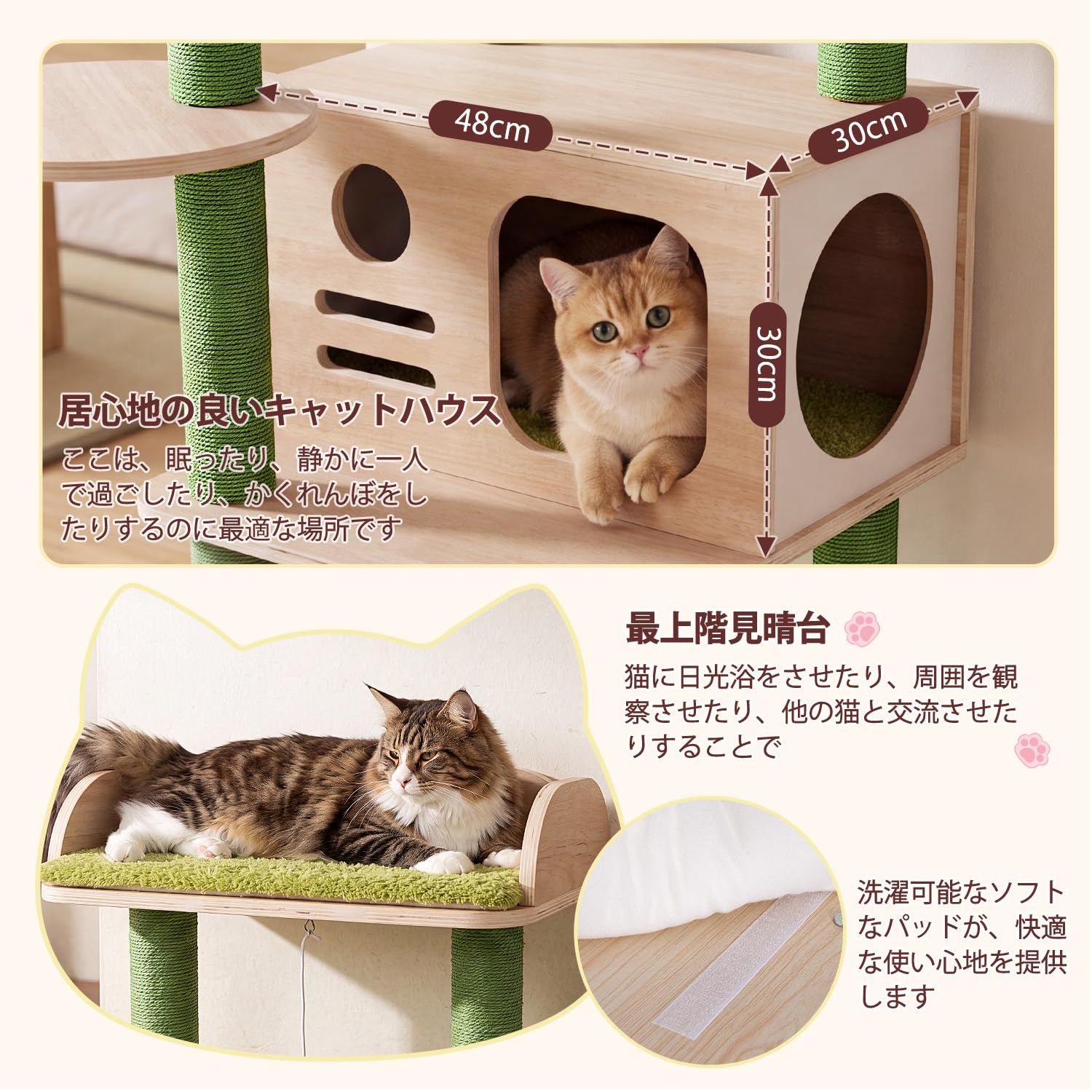 Globlazer キャットタワー 木製 高さ164cm 多頭飼い 大型猫対応 付き