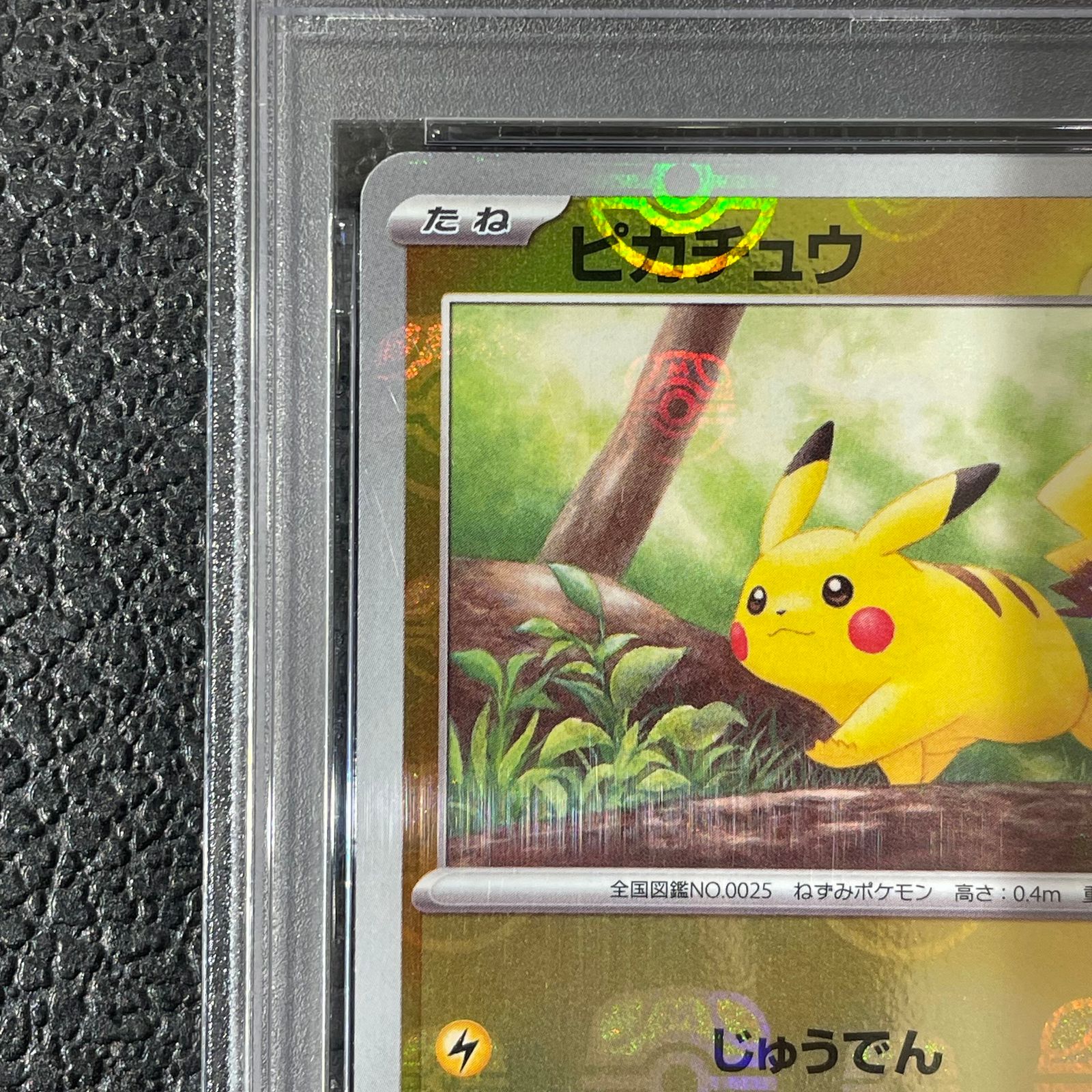 PSA10】ピカチュウ(マスターボール柄/ミラー仕様) C 025/165 1枚