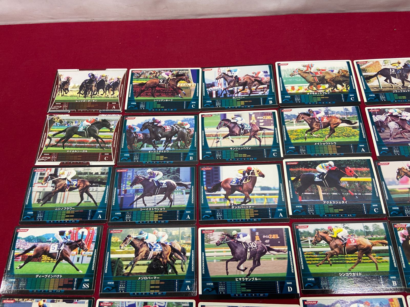 カメ】 HORSERIDERS ホースライダーズ サラブレッドカード