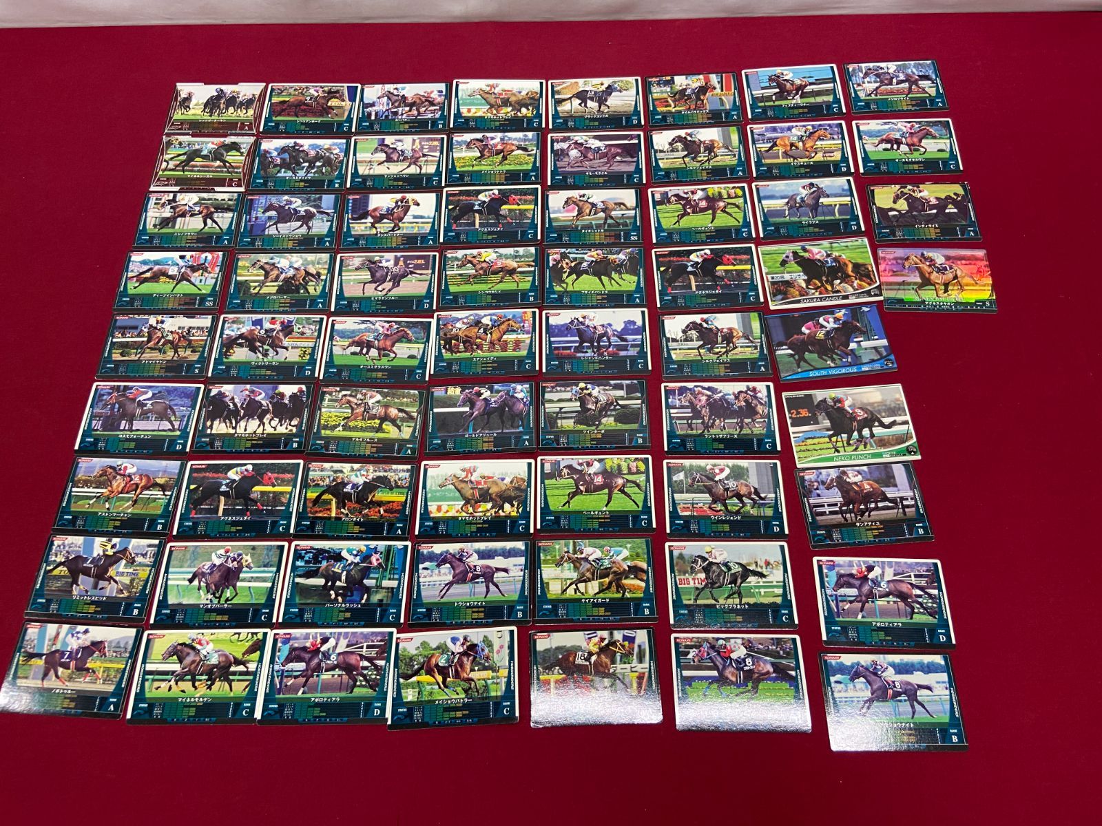 カメ】 HORSERIDERS ホースライダーズ サラブレッドカード