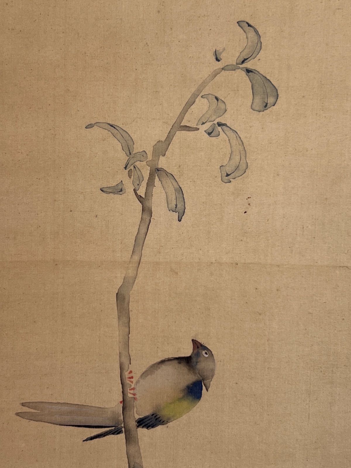 小鳥と花 日本画 中国画 画芯 絹本肉笔 A3688 西村五雲 「花鳥」 絹本 肉筆 共箱 小川翠村題 - メルカリ