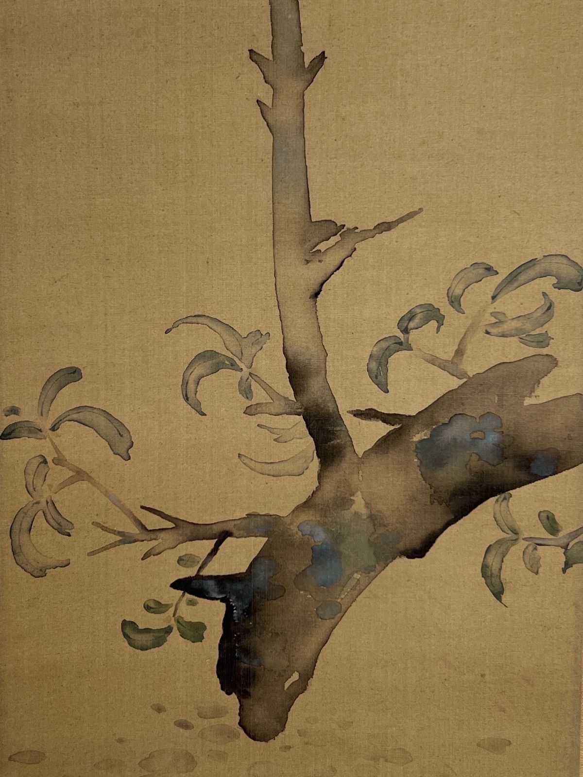 西村五雲 「花鳥」 絹本 肉筆 共箱 小川翠村題 - メルカリ