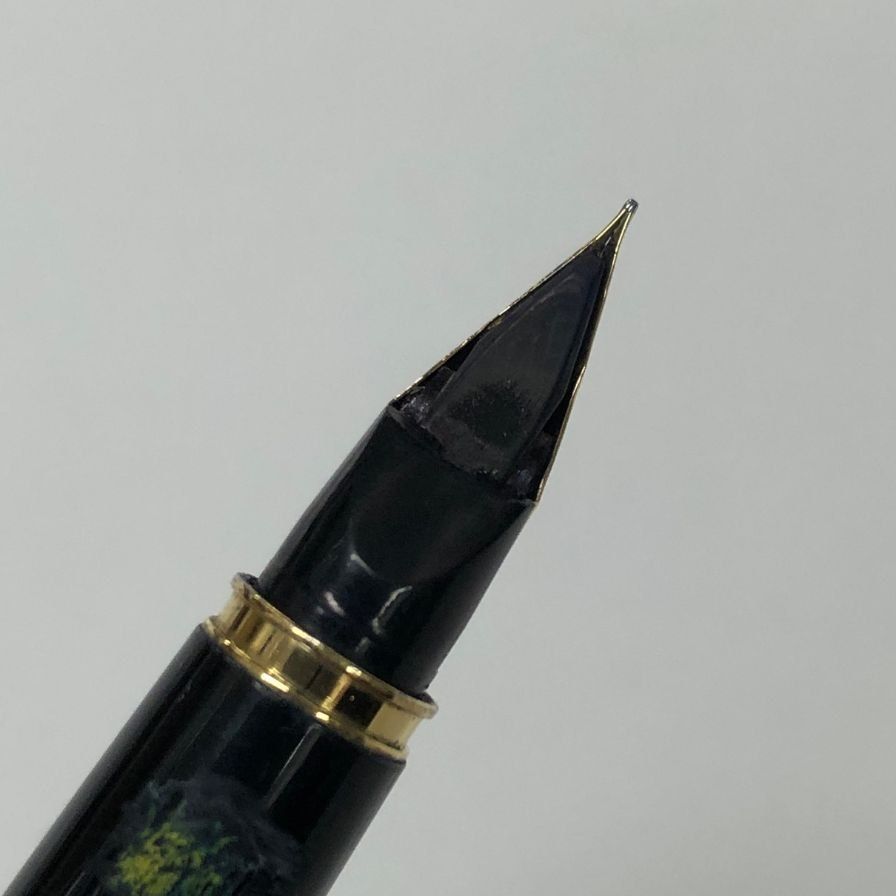 パイロット 國光會 鳳凰 ペン先 14K-585 万年筆【AFI13】 - メルカリ