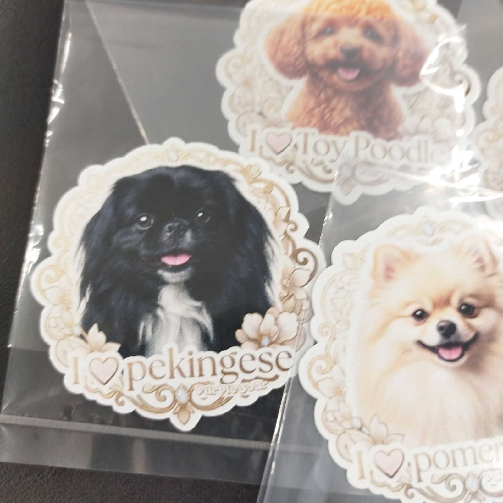 5種類わんちゃん5枚セット🎵 パグ・ペキニーズ・トイプードル・柴犬