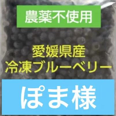 ぽま様専用　冷凍ブルーベリー