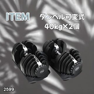 ダンベル 可変式 40kg 2個セット 多機能 グレー 2599 2599 ダンベル 可変式 ライトグレー 40kg 2個 総重量80kg 多機能 5