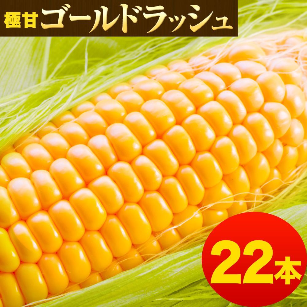食品 専用 とうもろこし22本