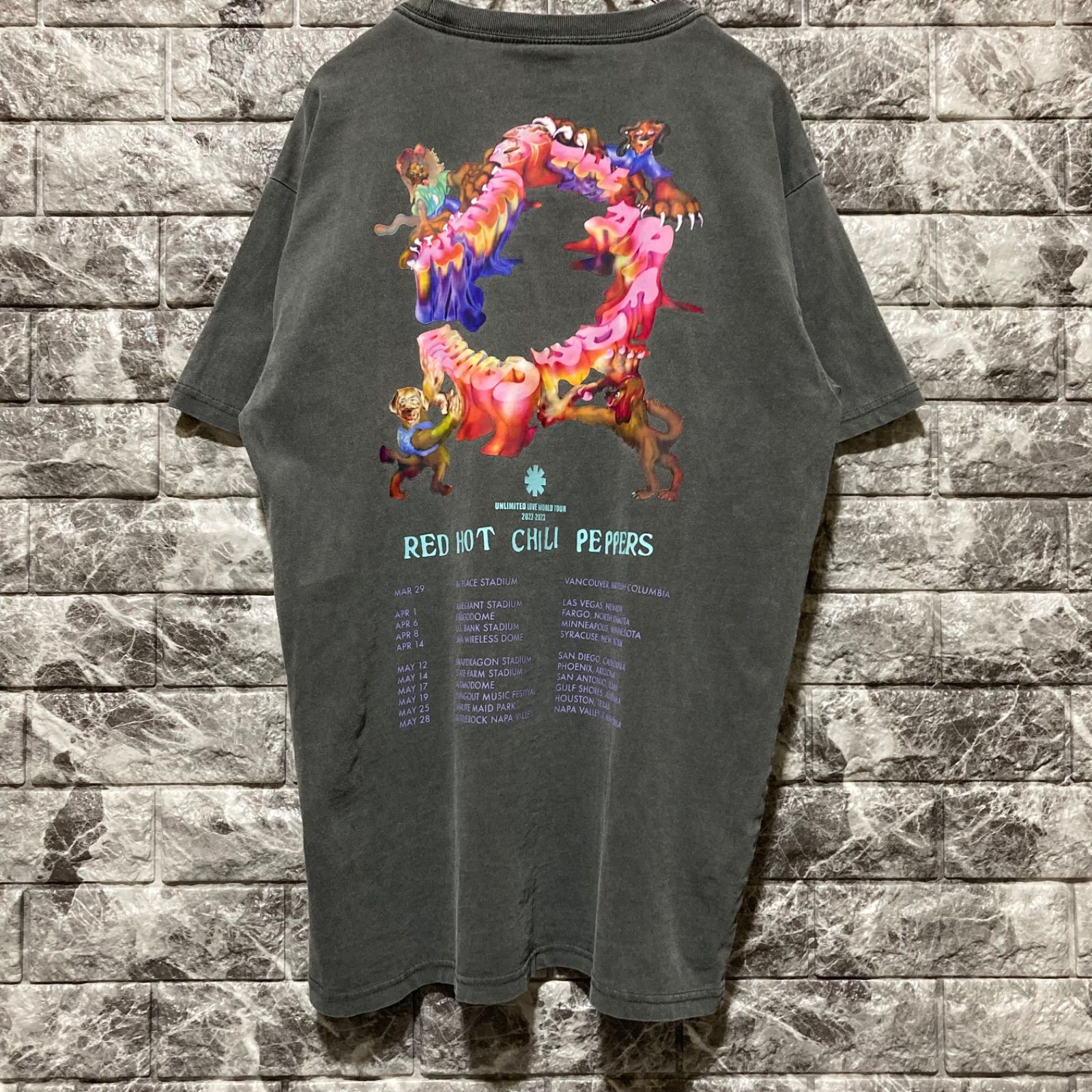 RED HOT CHILI PEPPERS Tシャツ M レッチリ ツアー 2022 2023 - メルカリ