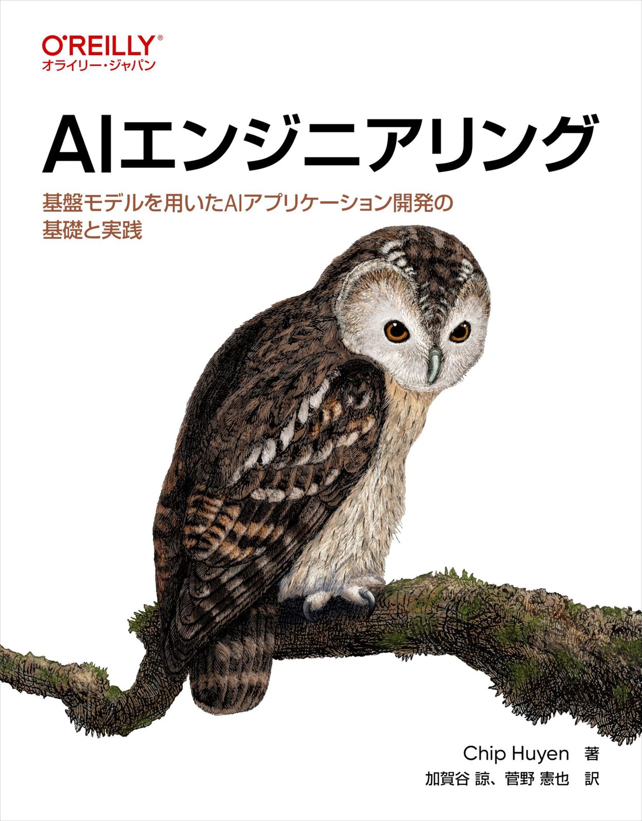 AIエンジニアリング ―基盤モデルを用いたAIアプリケーション開発の基礎と実践