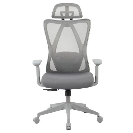 FLEXISPOT オフィスチェア デスクチェア C5 多機能調節 ロッキング機能 固定可能 強弱調節可能 2Dランバーサポート メッシュ素材 肉厚座