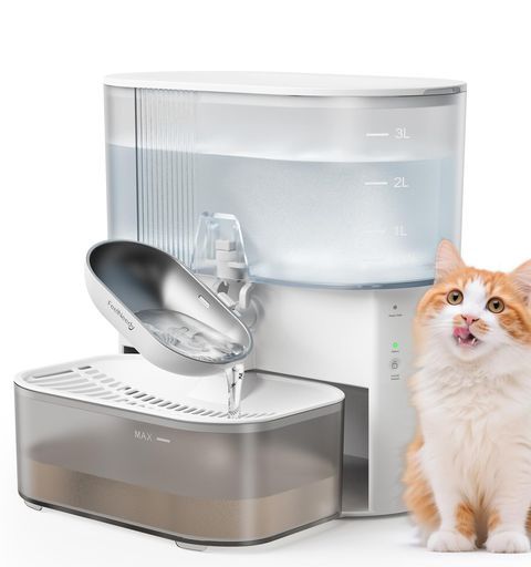 FEELNEEDY 猫給水器コードレス 汚水分離設計 フィルター不要 ワイヤレス猫水飲み器 ペット用自動給水器 お手入れ簡単 ステンレスボウル 3.5
