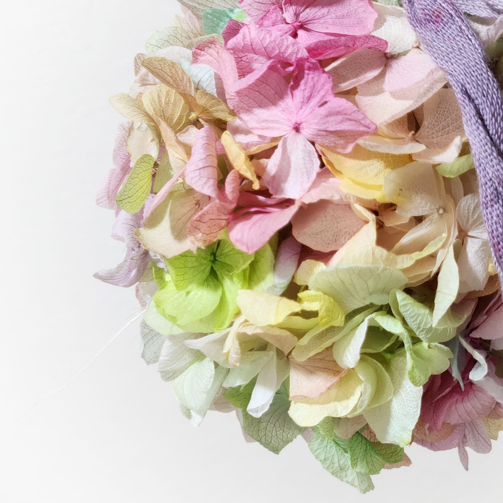 №187 紫陽花 アジサイ あじさい フライングリース フラワーボール