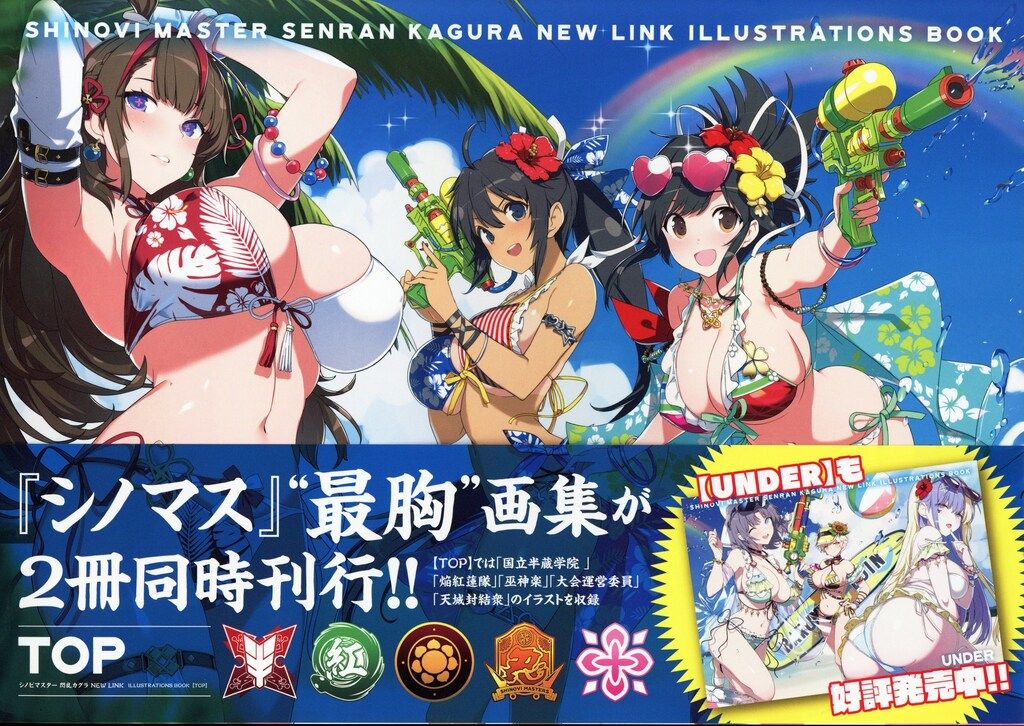 シノビマスター 閃乱カグラ NEW LINK ILLUSTRATIONS BOOK TOP (帯付