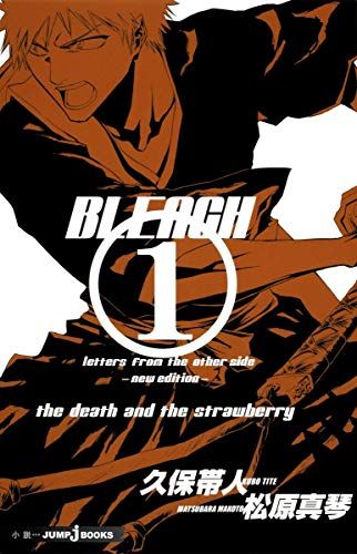 BLEACH letters from the other side -new edition- (JUMP j BOO
