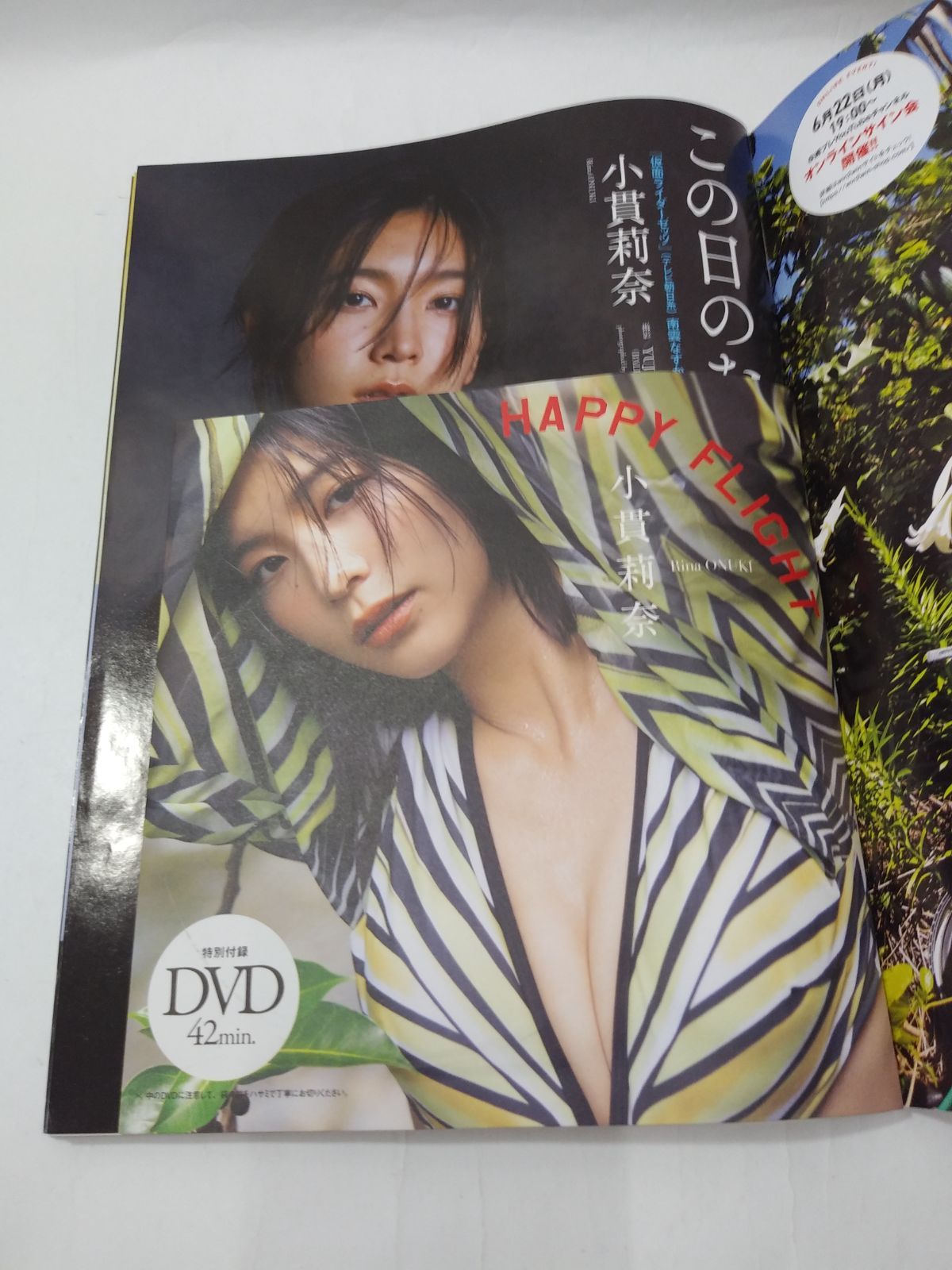 中古】DVD付)週刊プレイボーイ 2026年6月29日号 - メルカリ