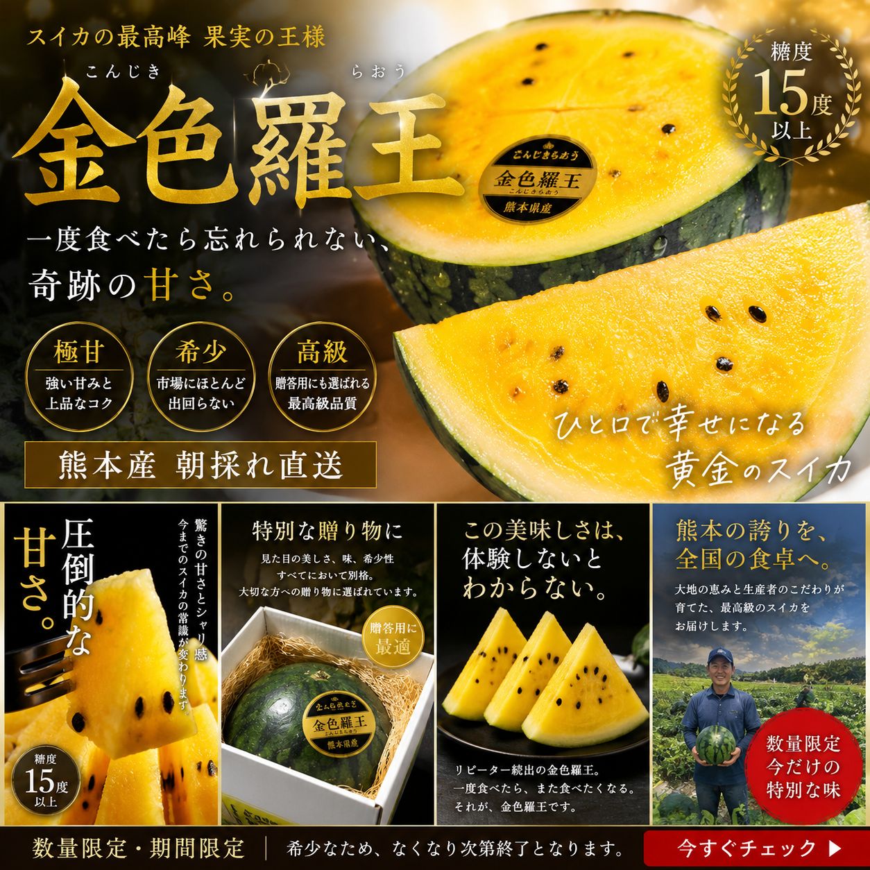 超特大！　金色羅王 熊本県産 希少な黄色いスイカ 約13kg 3L】希少品種