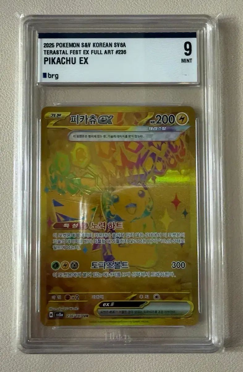 テラス タル ピカチュウ ur ポケモンカード