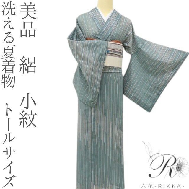 六花-RIKKA- 美品 洗える夏着物 トールサイズ 絽❀五感を刺激!シャランと奏でる粋な風♪❀小紋 着物 A5676