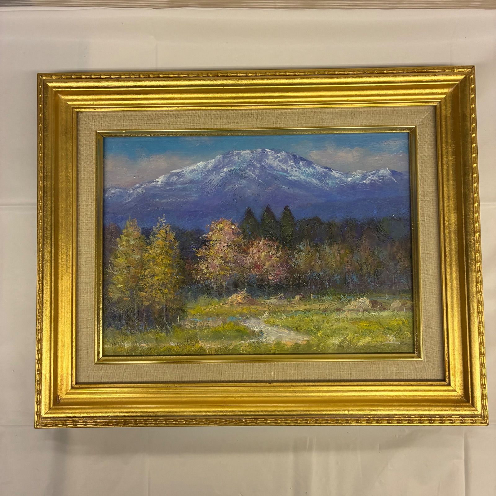 ke0724-1 4F 油彩画 「伊吹山」 F4号 額装 油絵 風景画 - メルカリ