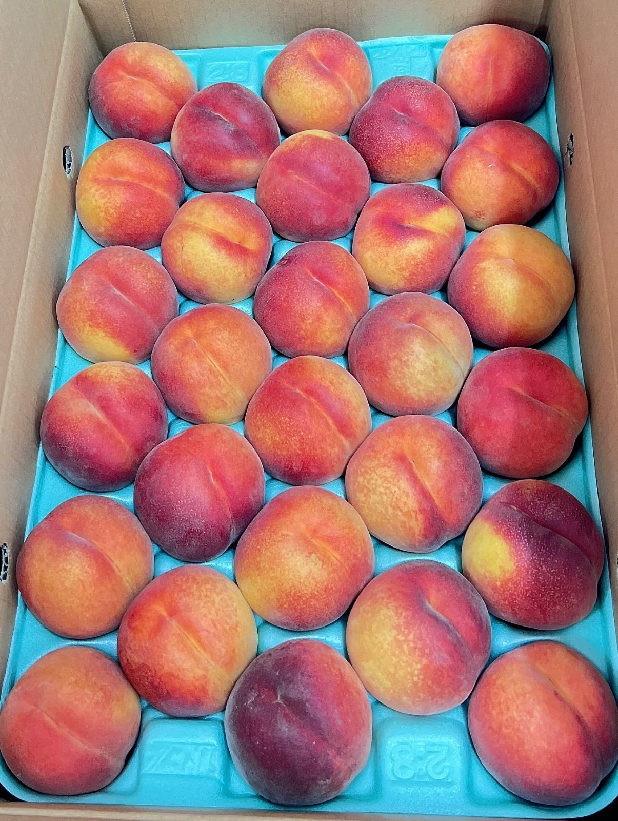 長野県産 ワッサー 5kg以上 カリカリ 硬い桃 秀品 ネクタリンピーチ 食品 長野県産 ワッサー 5kg以上 カリカリ 硬い桃 秀品 ネクタリンピーチ