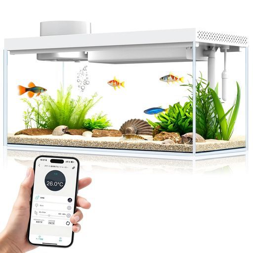 小型スマート水槽 デスクトップ水槽キット5L ガラス製アクアリウム コンパクト 自動給餌器、RGBライト水温モニター搭載 - ベタ・グッピー対応セルフ