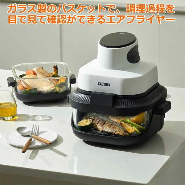 カクタシー エアー キューブ フライヤー CT-AF4067CW エアフライヤー