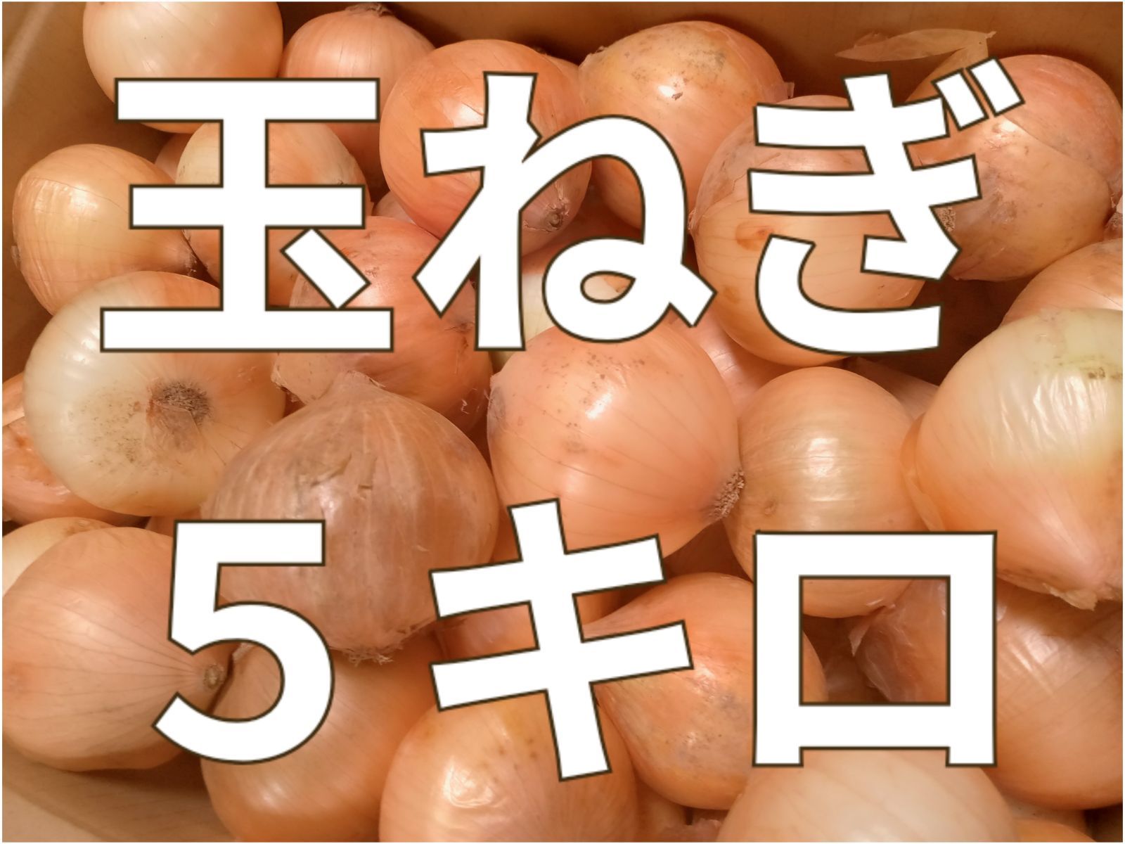 長崎県産 玉ねぎ 5kg やや傷あり - メルカリ