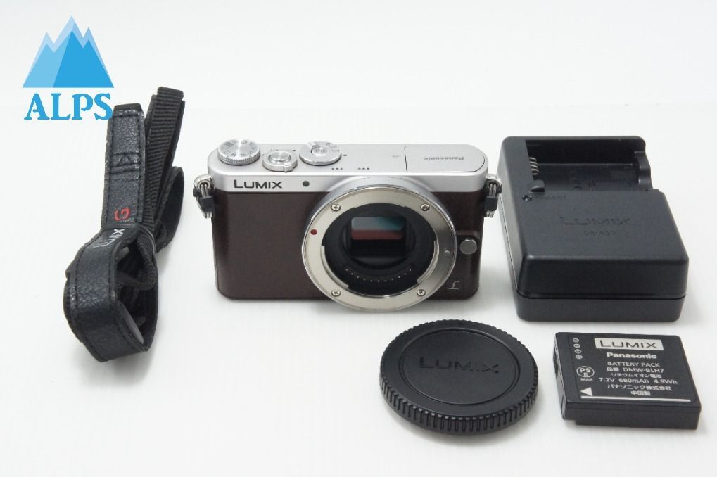 美品 Panasonic パナソニック LUMIX DMC-GM1S ボディ ミラーレス一眼