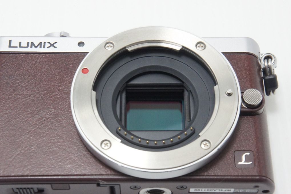 美品 Panasonic パナソニック LUMIX DMC-GM1S ボディ ミラーレス一眼