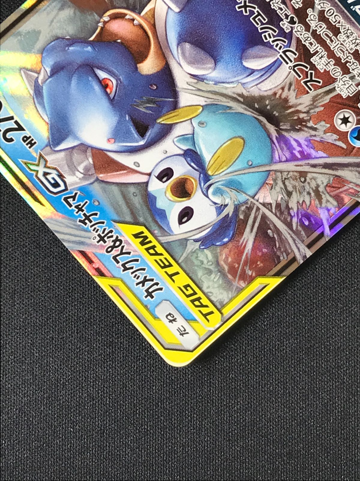 カメックス&ポッチャマGX PSA10 カテゴリー 【公式通販】