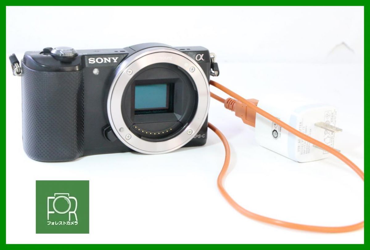 【動作保証・点検済】良品■SONY α5000 ILCE-5000■バッテリー・チャージャー付き■10055