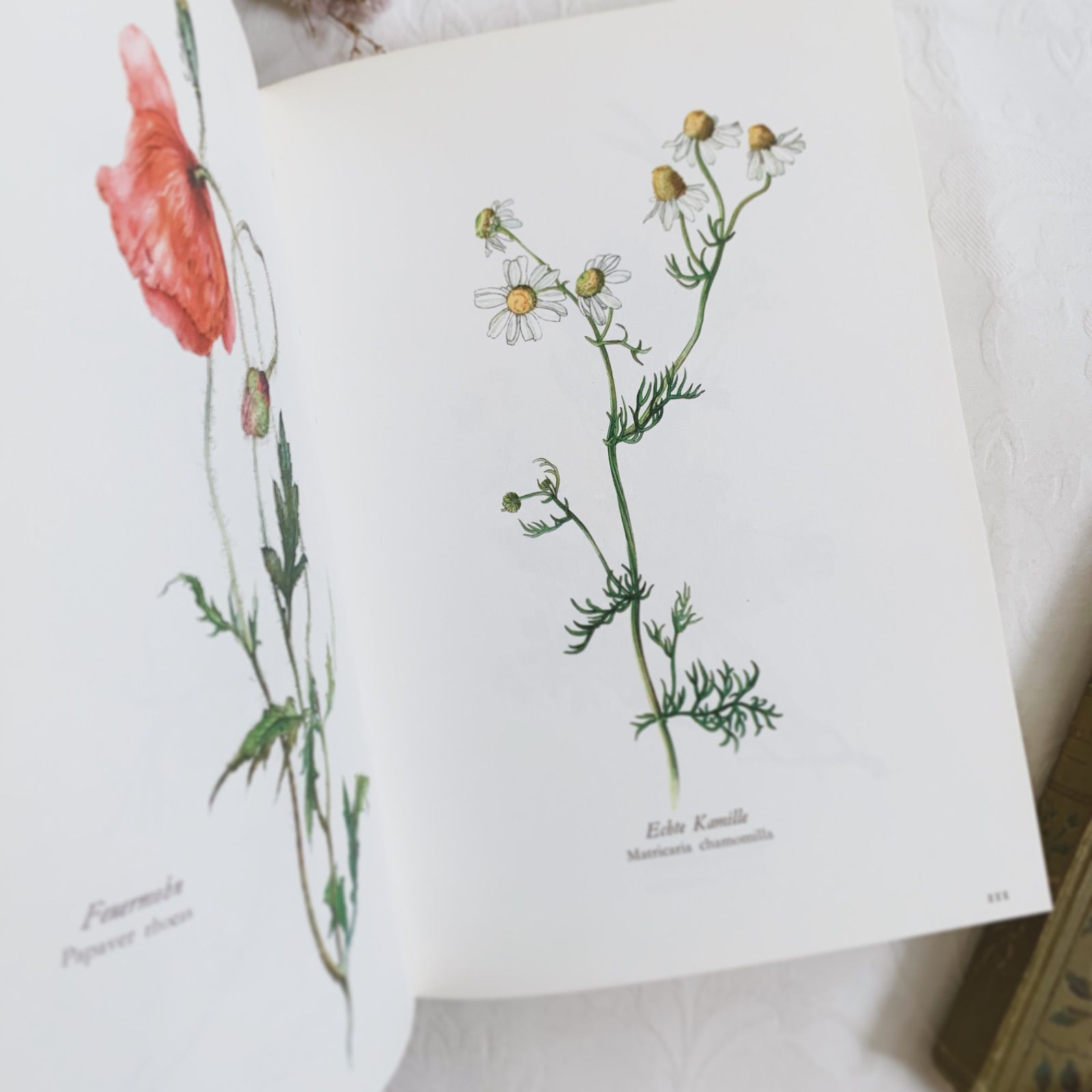 ドイツ植物画家Elsa Felskoのビンテージ本Blumen Fibel /ボタニカル