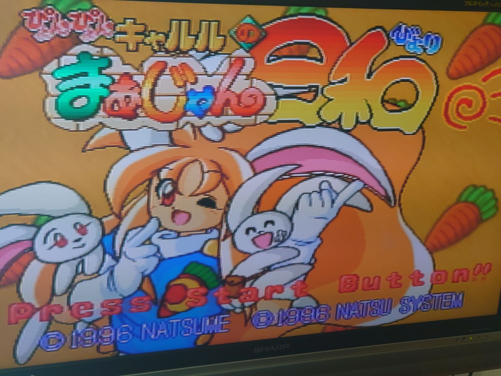 訳あり特価】[ぴょんぴょんきゃるるまぁじゃん日和] セガサターン