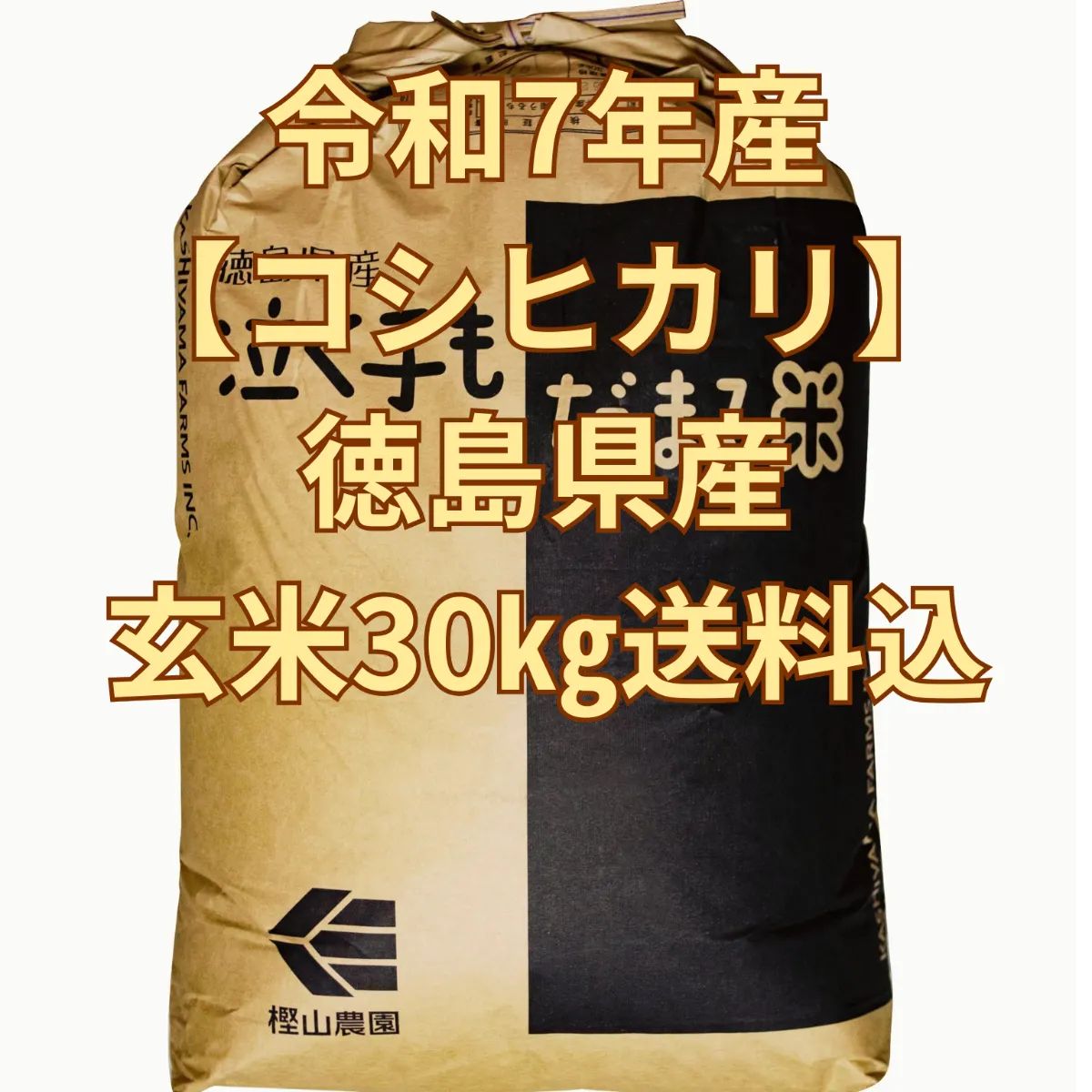 農家直送】徳島県産 コシヒカリ 玄米30kg 令和7年産 1等米 送料無料