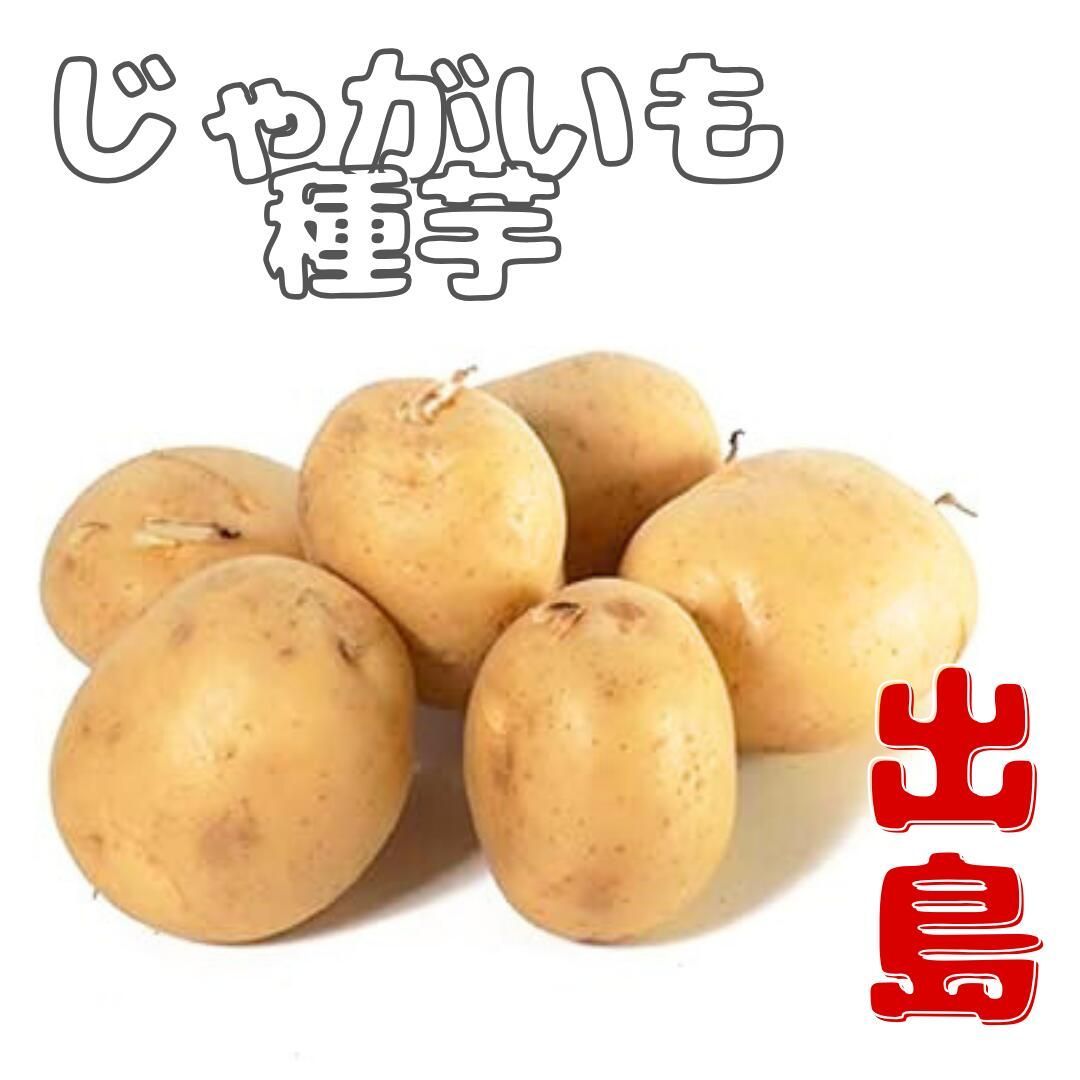 じゃがいも 種芋 デジマ ２０kg 9月中旬発送 じゃがいも種芋【デジマ】サイズ混合 20キロ - メルカリ