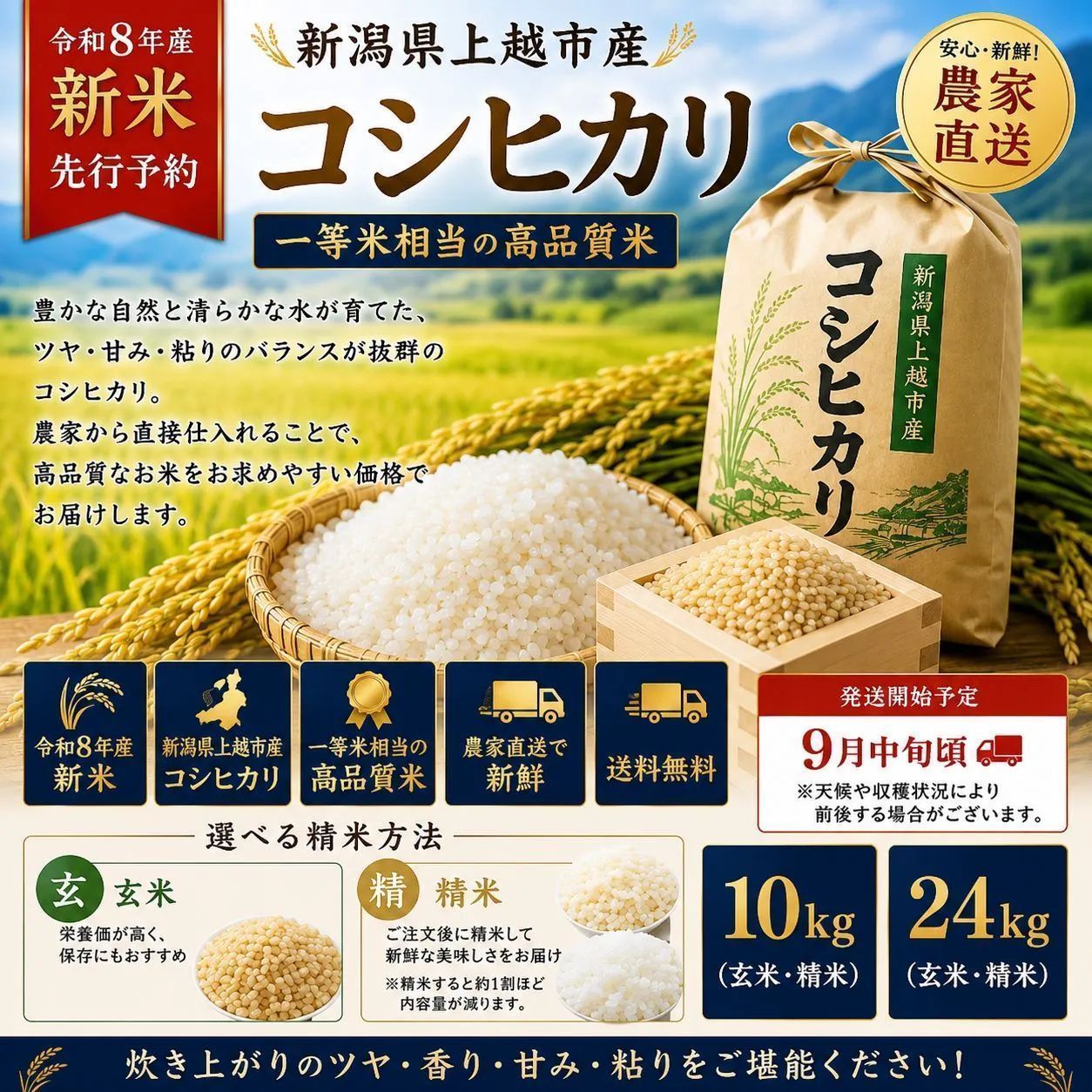 新米予約】新潟県産コシヒカリ玄米10kg - メルカリ
