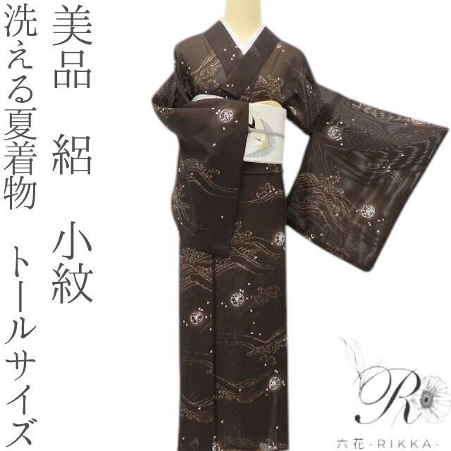 六花-RIKKA- 美品 洗える夏着物 トールサイズ 絽❀波音にそっと、桜の