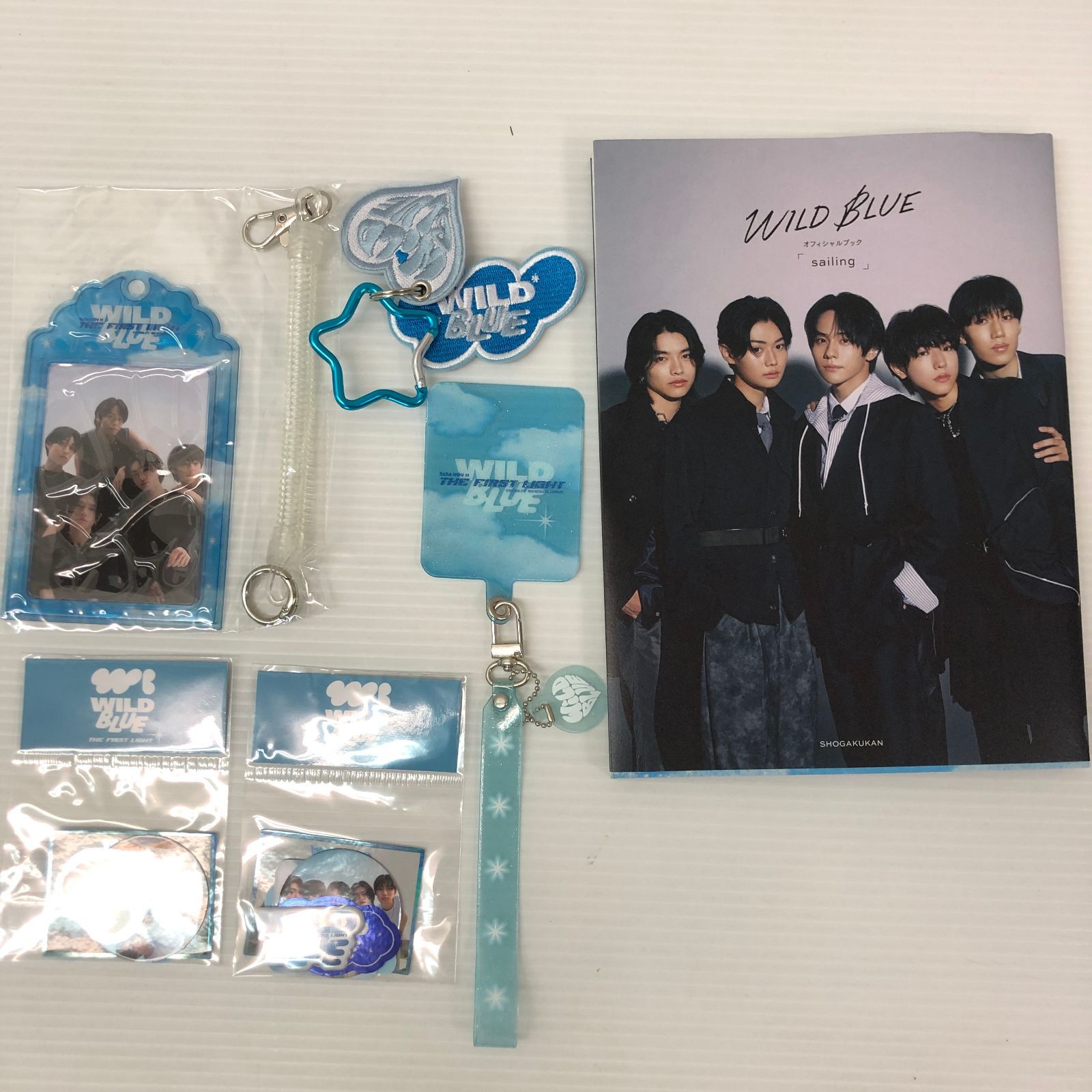 □WILD BLUE ワイルドブルー オフィシャルブック ＆ グッズ まとめ