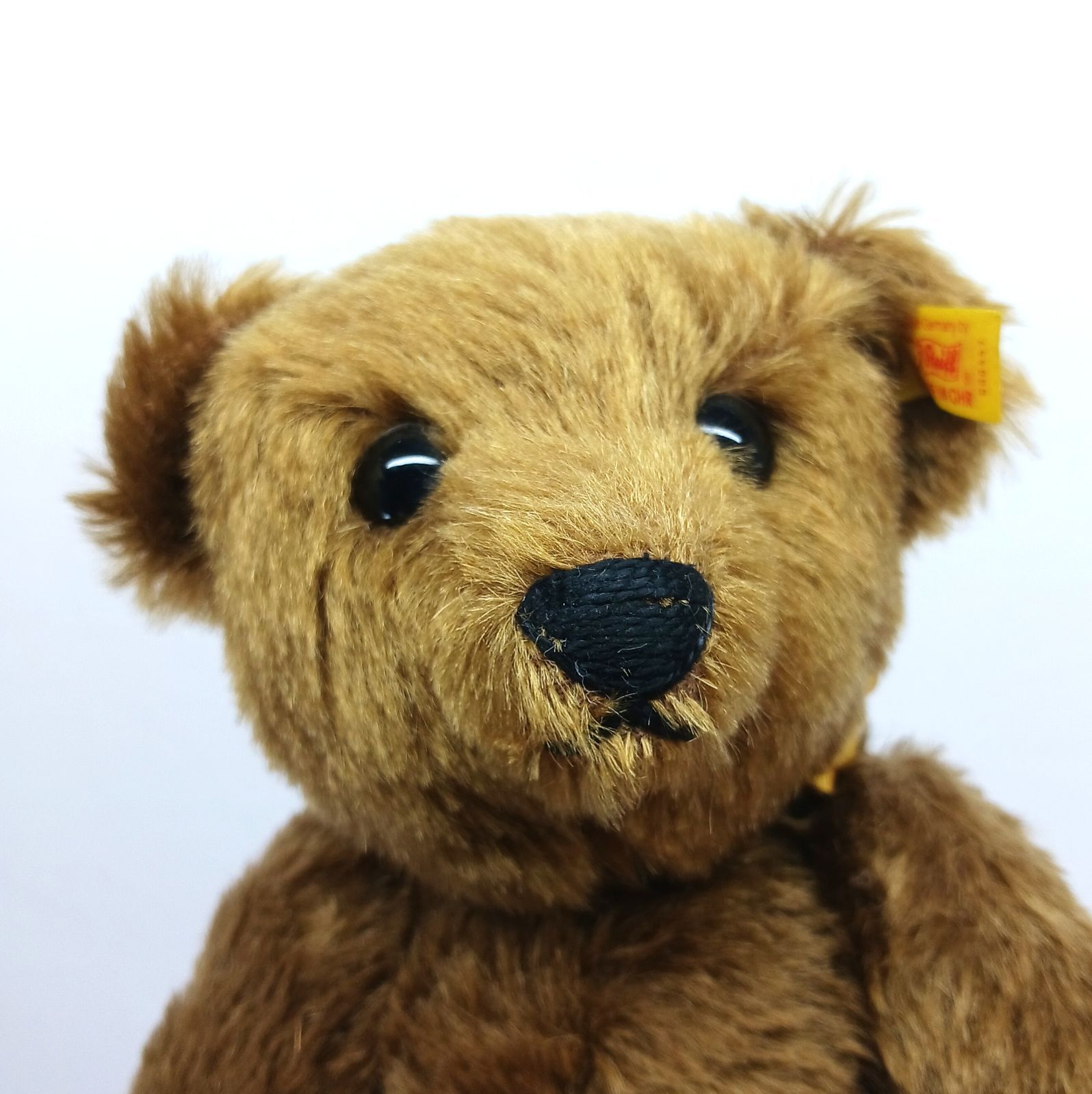 タグ付き】 Steiff シュタイフ クラシックシリーズ 1909 テディベア