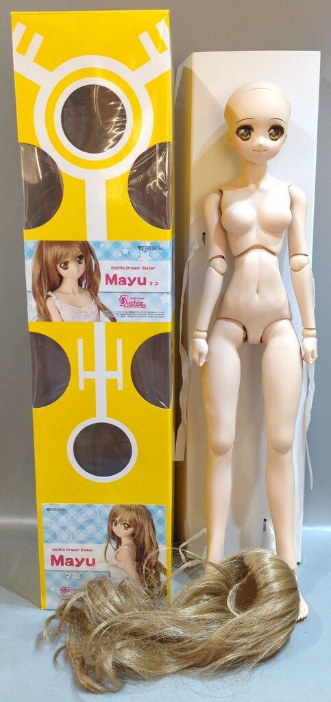 ボークス DDS スタンダードモデル マユ